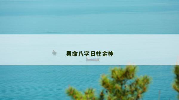 男命八字日柱金神
