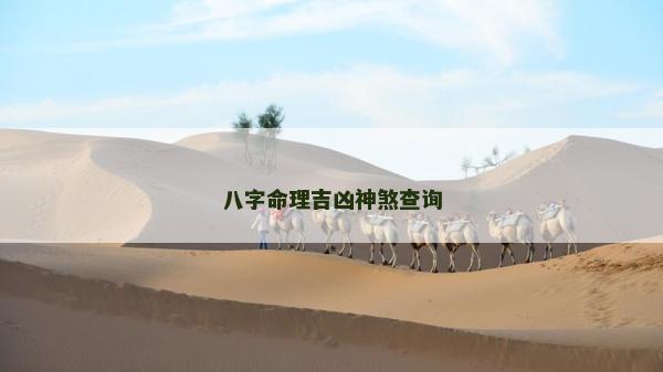 八字命理吉凶神煞查询