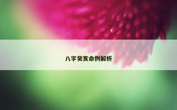 八字癸亥命例解析