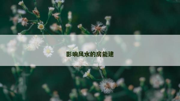 影响风水的房能建