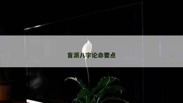 盲派八字论命要点