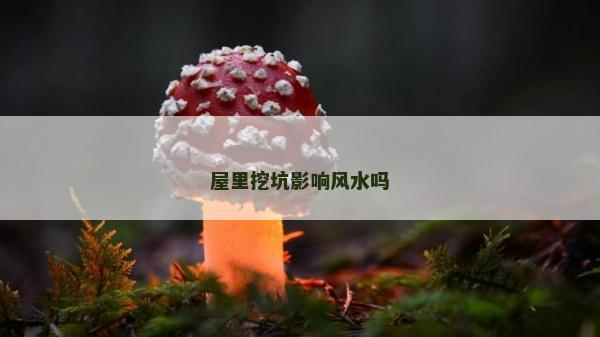 屋里挖坑影响风水吗