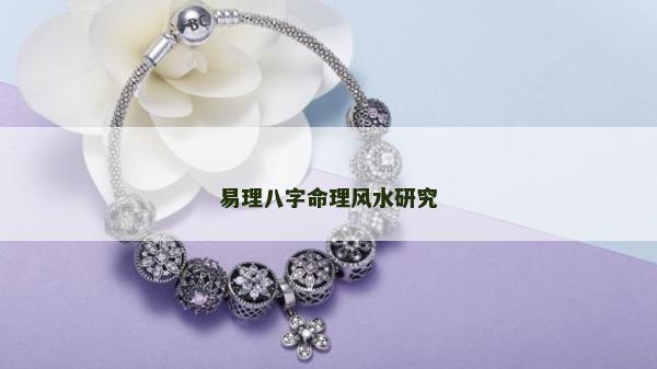 易理八字命理风水研究