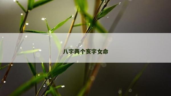 八字两个亥字女命