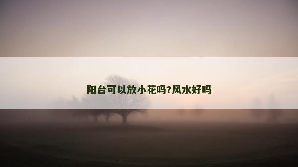 阳台可以放小花吗?风水好吗