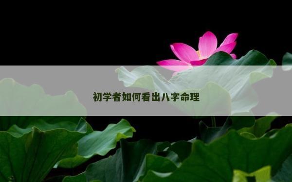 初学者如何看出八字命理
