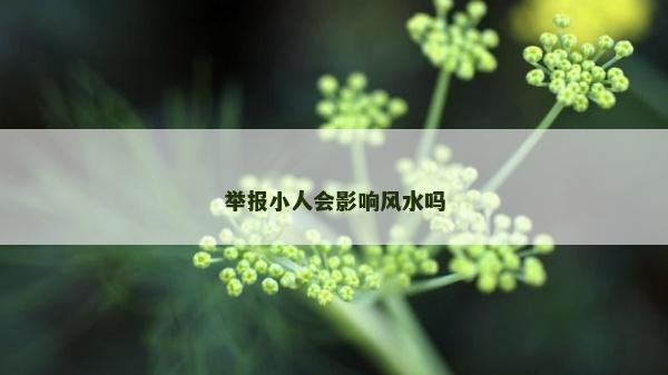 举报小人会影响风水吗