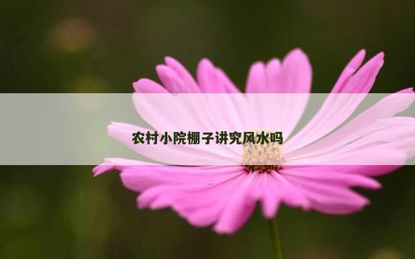 农村小院棚子讲究风水吗