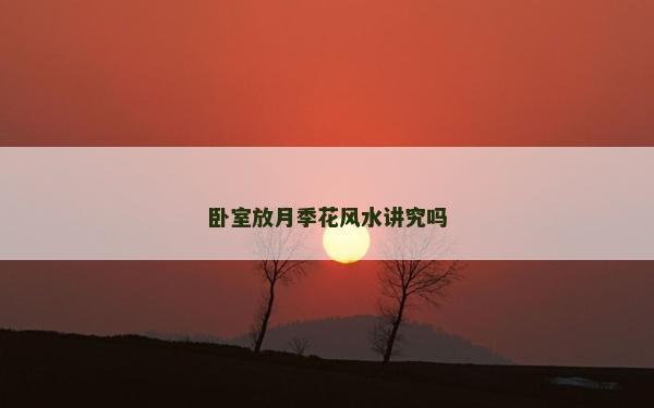 卧室放月季花风水讲究吗