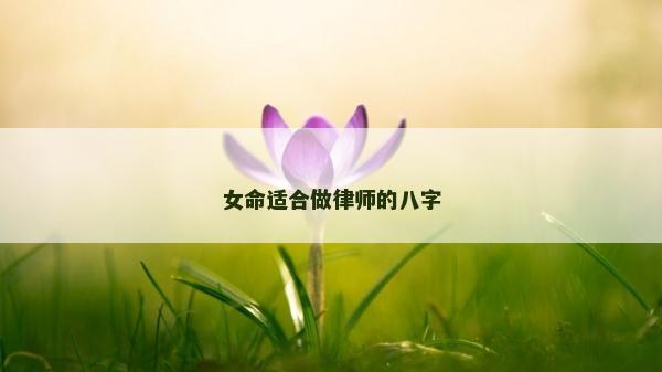 女命适合做律师的八字