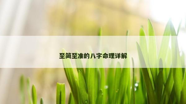 至简至准的八字命理详解