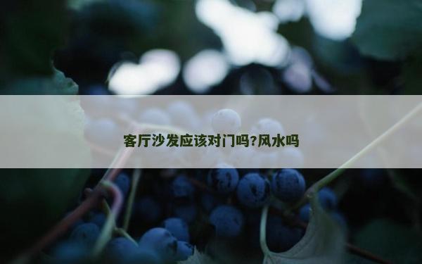 客厅沙发应该对门吗?风水吗