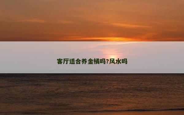 客厅适合养金橘吗?风水吗