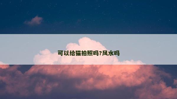 可以给猫拍照吗?风水吗