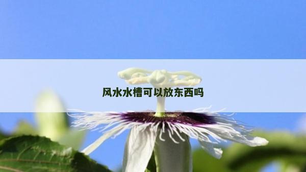 风水水槽可以放东西吗