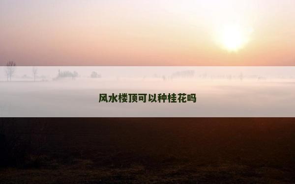 风水楼顶可以种桂花吗