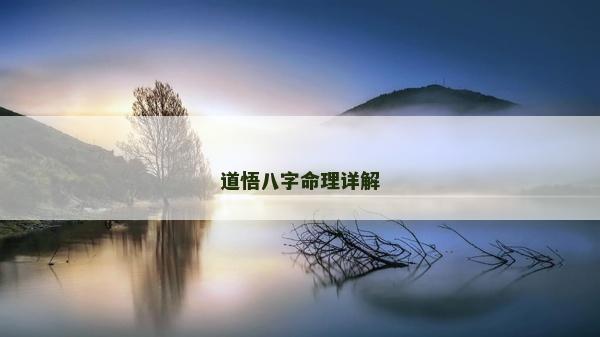 道悟八字命理详解