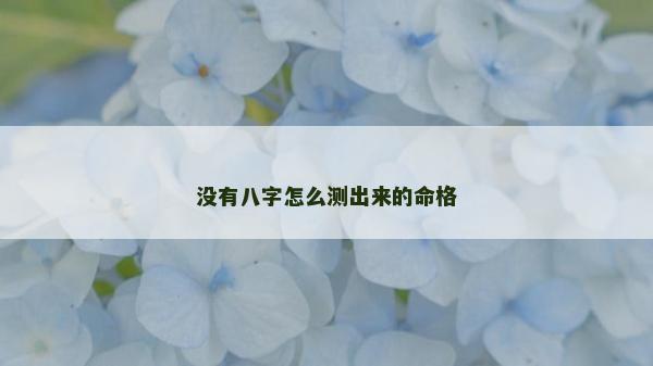 没有八字怎么测出来的命格