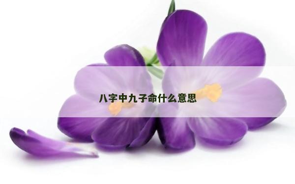八字中九子命什么意思