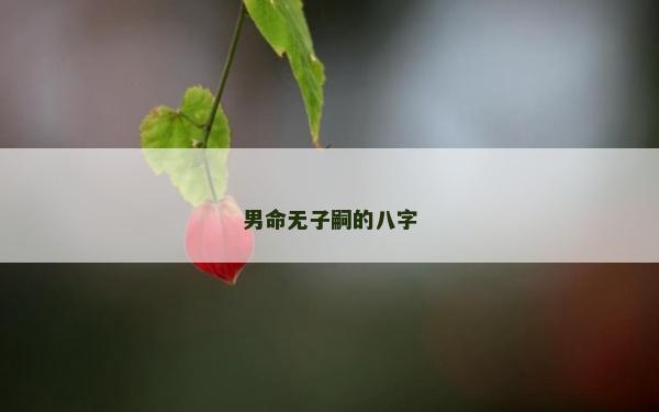 男命无子嗣的八字