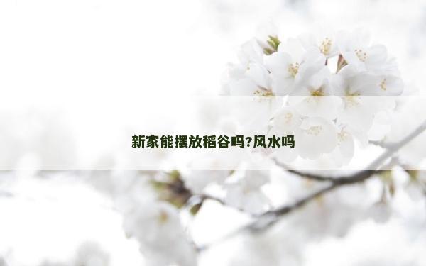 新家能摆放稻谷吗?风水吗