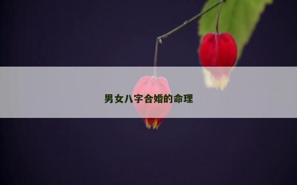 男女八字合婚的命理