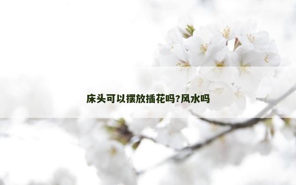 床头可以摆放插花吗?风水吗