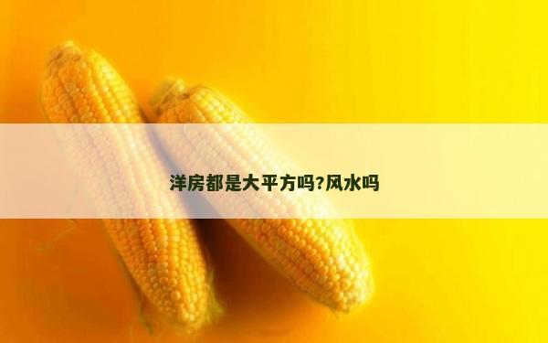 洋房都是大平方吗?风水吗