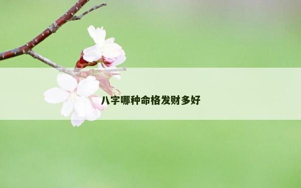 八字哪种命格发财多好