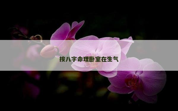 按八字命理卧室在生气