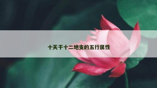 十天干十二地支的五行属性