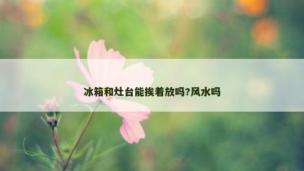 冰箱和灶台能挨着放吗?风水吗