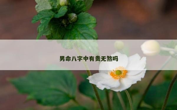 男命八字中有贵无煞吗