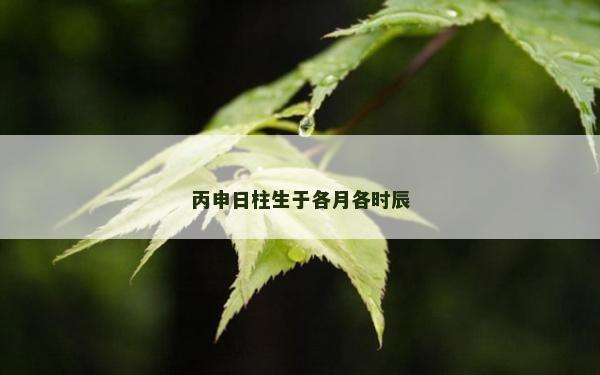 丙申日柱生于各月各时辰