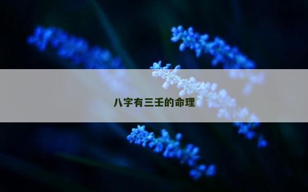 八字有三壬的命理