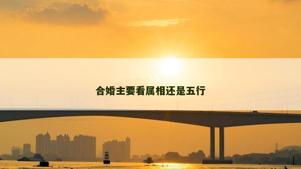 合婚主要看属相还是五行