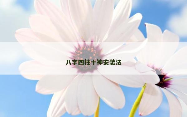 八字四柱十神安装法