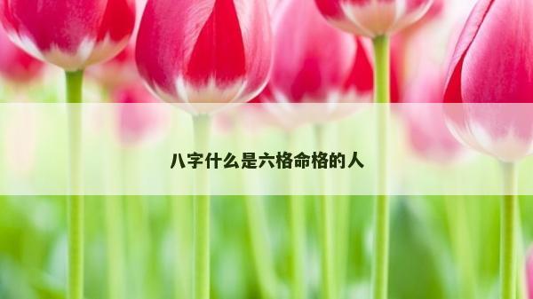 八字什么是六格命格的人