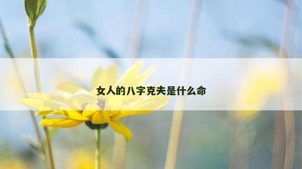 女人的八字克夫是什么命