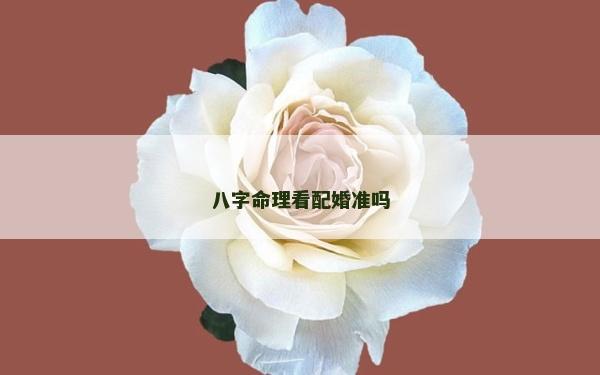 八字命理看配婚准吗