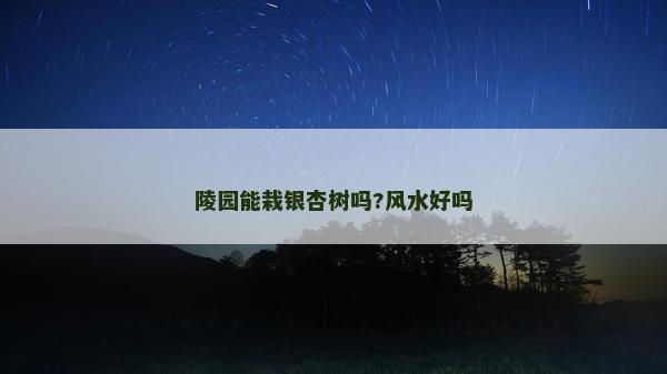 陵园能栽银杏树吗?风水好吗