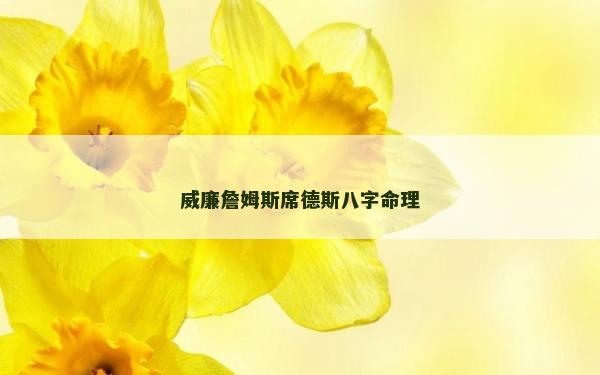 威廉詹姆斯席德斯八字命理