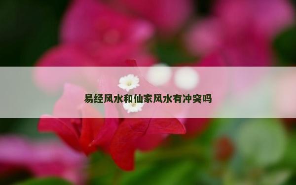 易经风水和仙家风水有冲突吗