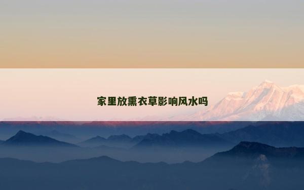 家里放熏衣草影响风水吗