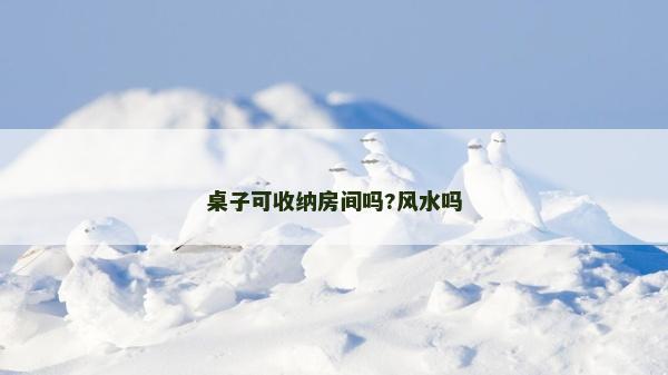 桌子可收纳房间吗?风水吗