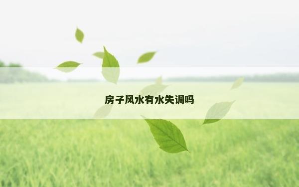 房子风水有水失调吗