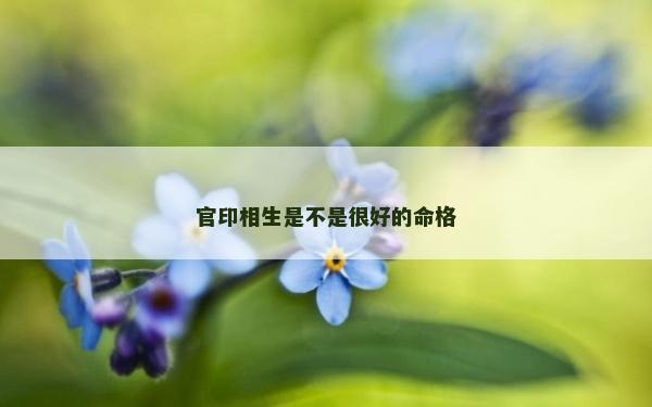 官印相生是不是很好的命格