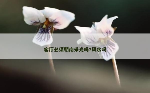客厅必须朝南采光吗?风水吗