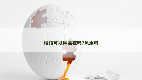 楼顶可以种荔枝吗?风水吗