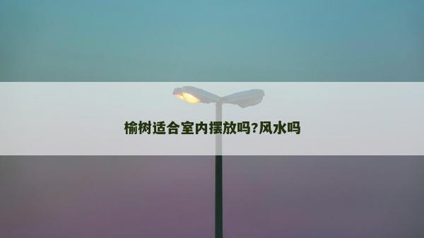 榆树适合室内摆放吗?风水吗